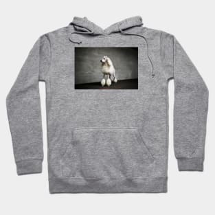 Royal poodle Hoodie